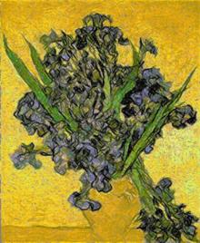 Vincent Van Gogh. Irises.