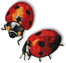 Ladybug Set
