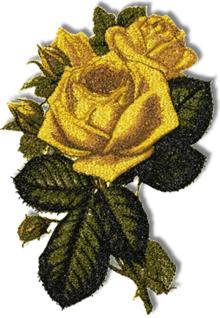 Golden Wedding Rose
