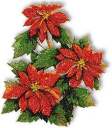 Poinsettia