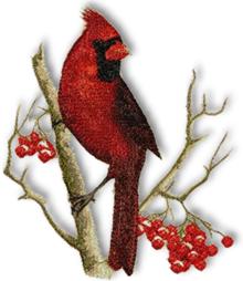 Cardinal