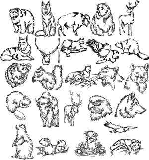 North American Wild Animal Set