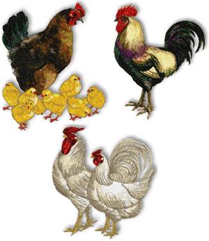 Hens, Roosters and Chicks Set