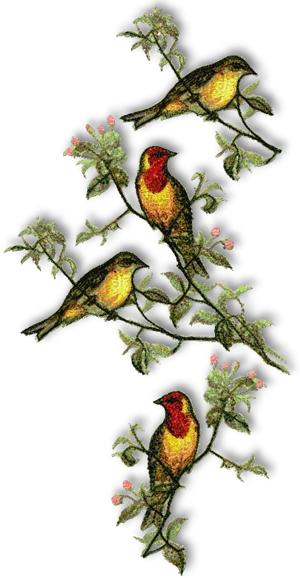 Woodland Warbler Set