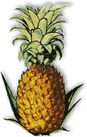 Pineapple