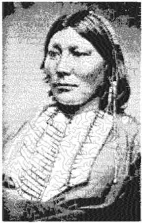 Chief White Horse