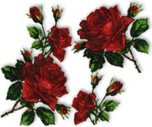 Scarlet Rose Set
