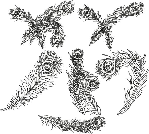 Advanced Embroidery Designs - Redwork Feather Set