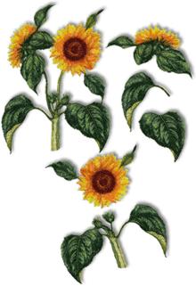 Sunflower Set