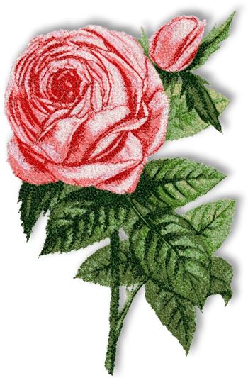 Rose embroidery designs - TheFind