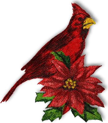 Cardinal 