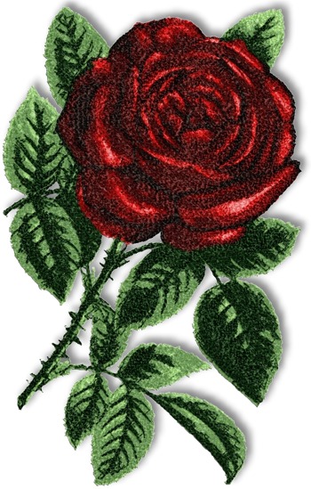 La Motte Rose