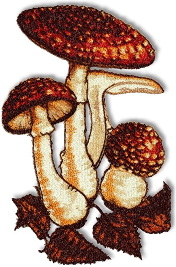 Mushrooms