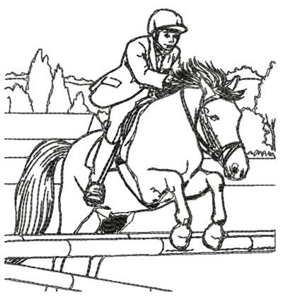 Show Jumping
