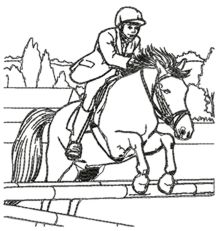 Show Jumping