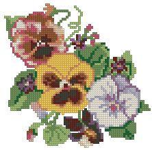 Pansies