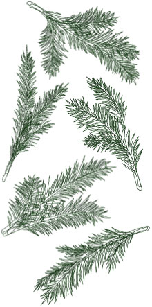 One-Color Pine Branches Set