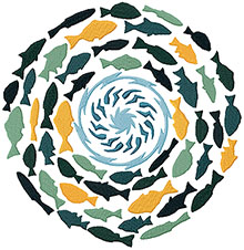 School of Fish Mandala