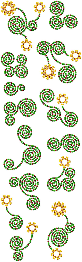 Spiral Flower Set