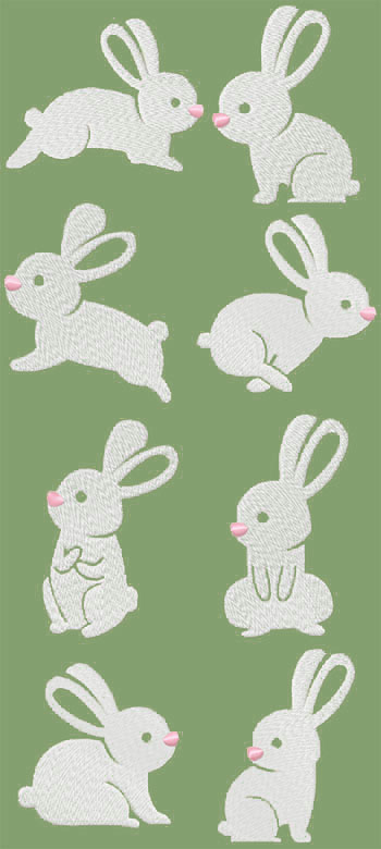Cute Bunny Set