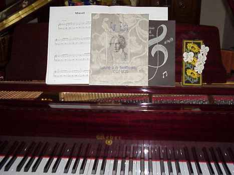 Beethoven Cover Holder image 2