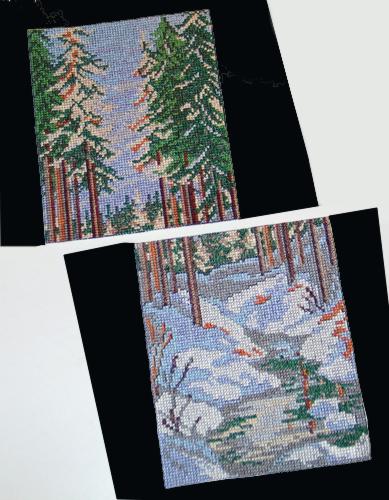 Winter Pine Forest image 4