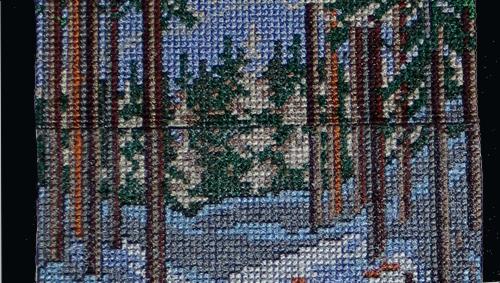 Winter Pine Forest image 5