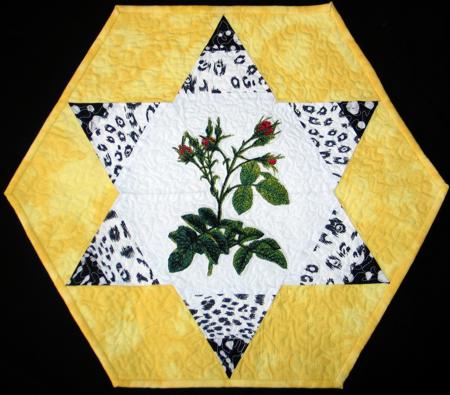 Hexagonal Quilted Place Mats image 8