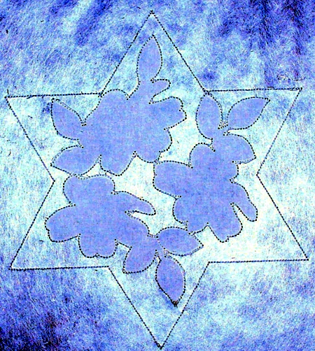 Cutwork Lace Flower Star image 4