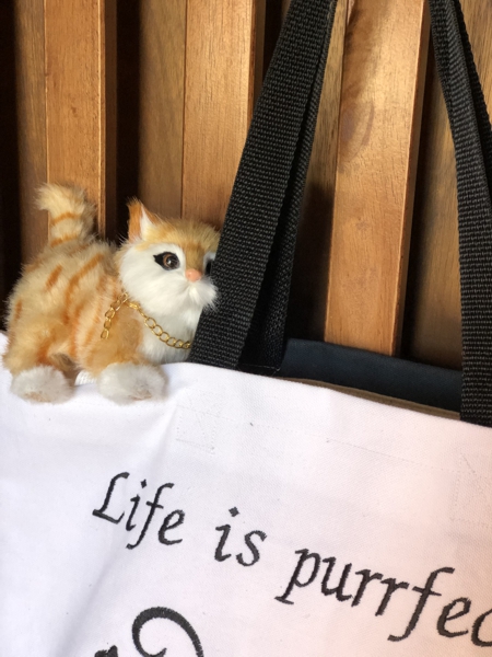 Little kitten on a tote.