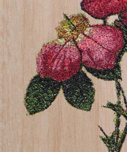 Framed Embroidery on Balsa Wood image 6