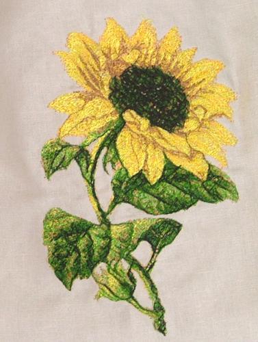 Embroidery.com: Embroidery Designs